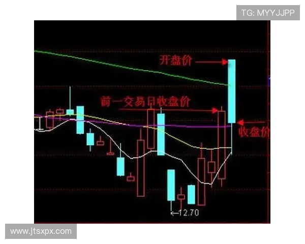 红土四强今高开低走早出局